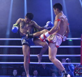 中國散打團力克七位泰拳王，魅力無法擋