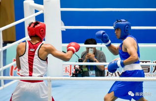 忻州圓滿承辦青運(yùn)會(huì)拳擊賽事 展現(xiàn)拳擊運(yùn)動(dòng)組織新風(fēng)貌